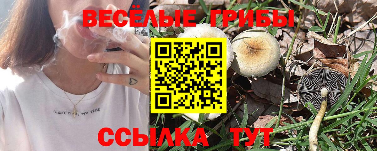 Псилоцибиновые грибы прущие грибы Ивантеевка